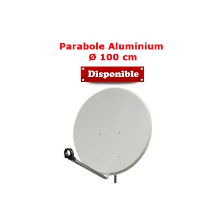 Parabole en Aluminium 100 cm (98 x 90 cm) - Gris clair